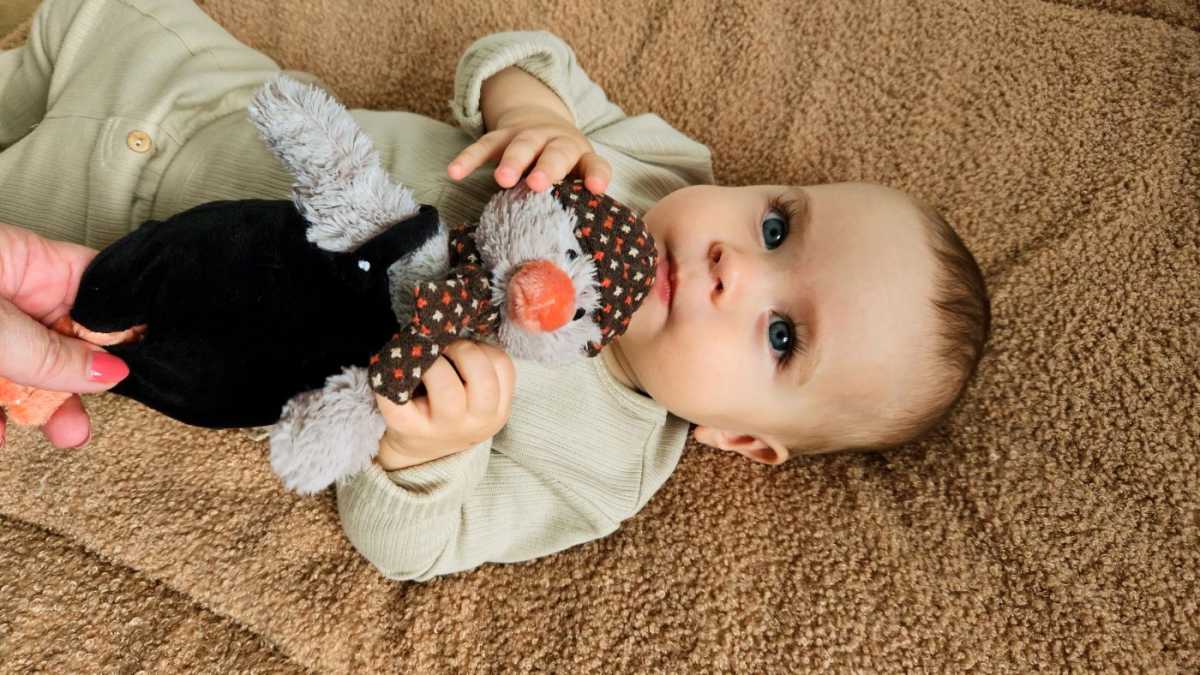 Plüsch Pinguin Polar no. 1, 25 cm